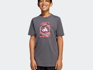 1758114495-342 1758114495-342