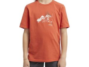 1758114615-372 1758114615-372