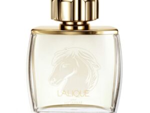 1758195359-225 1758195359-225