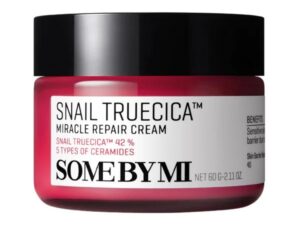 1758530492-22 1758530492-22