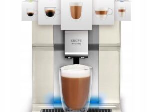 1758619488-11 1758619488-11