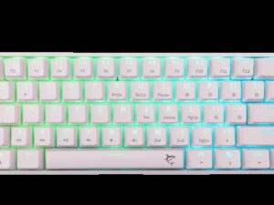 1759154621-40 1759154621-40