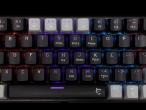 1759154662-54 1759154662-54