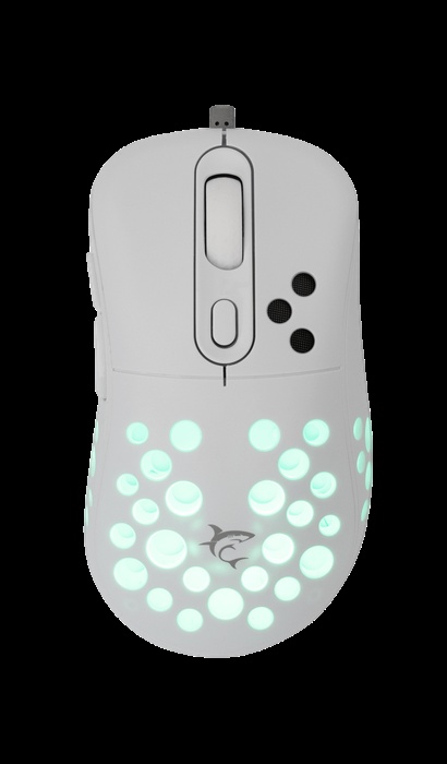 1759156197-50 1759156197-50