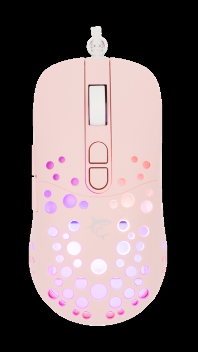 1759156219-58 1759156219-58