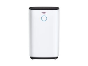 76402_0-01JWDYAXN4ZJ2SKV74BEX33ZKE