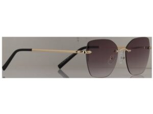 NY109-01_06_355_0909