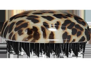 NY109-01_06_359_0009