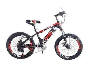 SE20-61198 SE20-61198