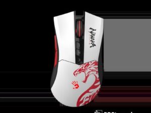 1764689893-310 1764689893-310