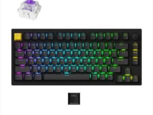 1764748939-16 1764748939-16