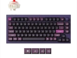 1764748945-18 1764748945-18