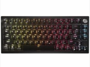 1764749010-41 1764749010-41