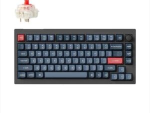 1764749219-114 1764749219-114