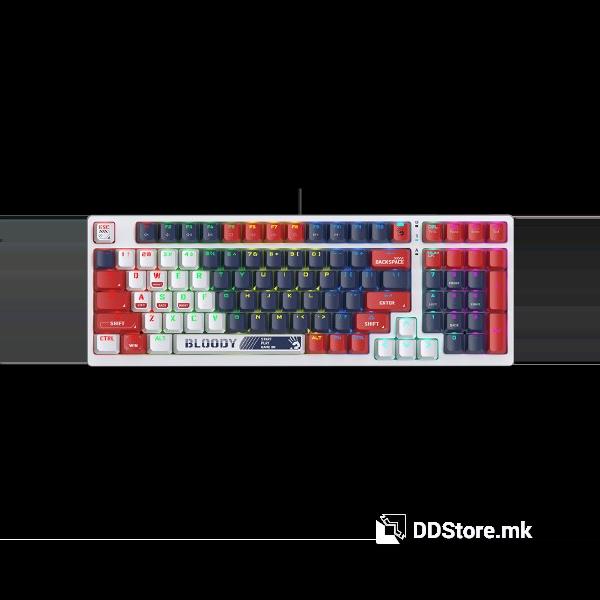 1764749537-225 1764749537-225