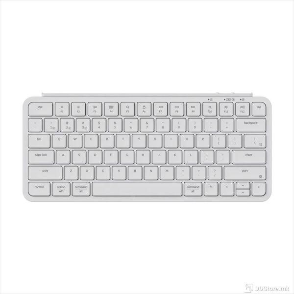 1764749711-286 1764749711-286