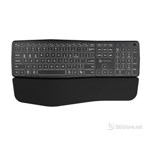 1764750663-619 1764750663-619